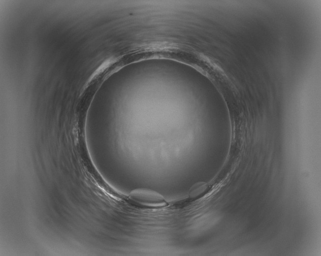 X0000080661306200612151121