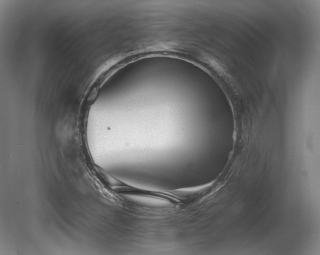 X0000080661308200612151121