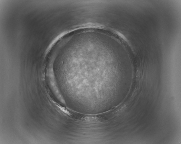 X0000080661310200612151121