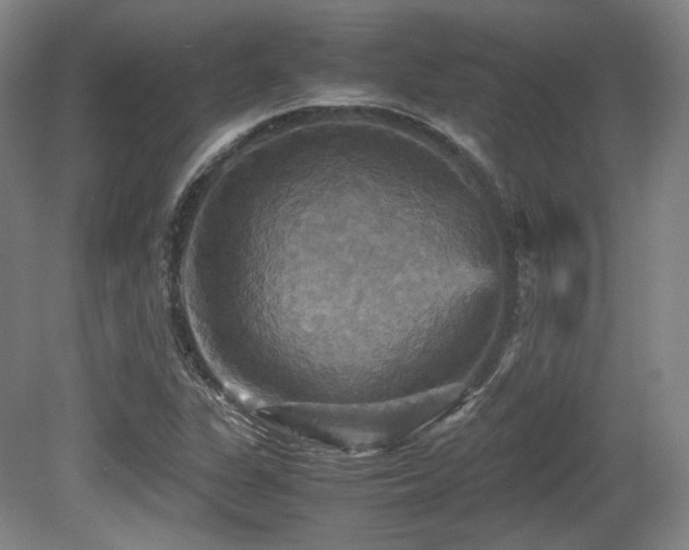 X0000080661311200612151121
