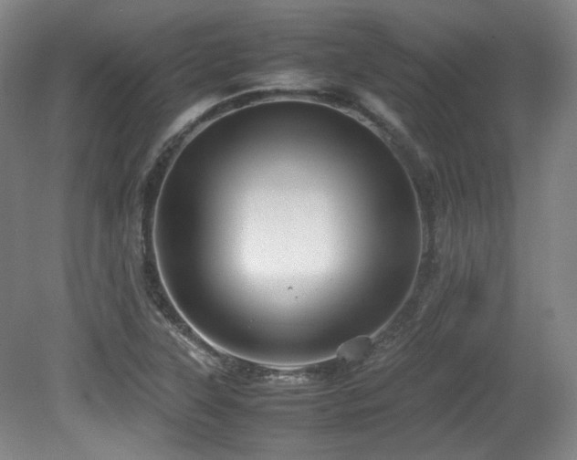 X0000080661315200612151121