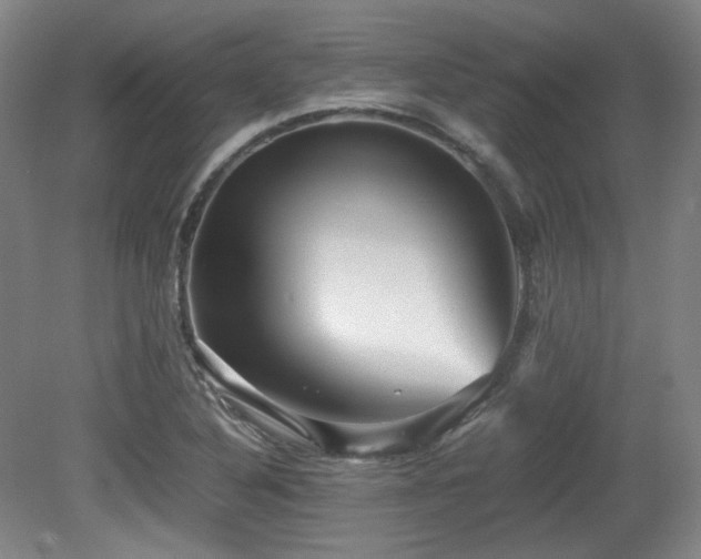 X0000080661316200612151121