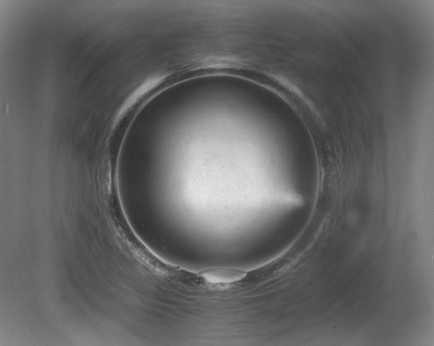 X0000080661317200612151121