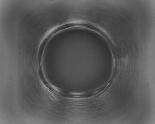 X0000080661319200612151121