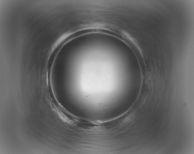 X0000080661320200612151121
