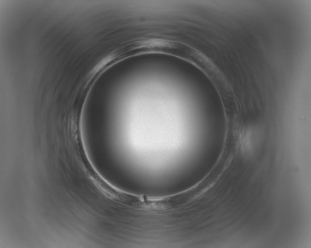 X0000080661321200612151121
