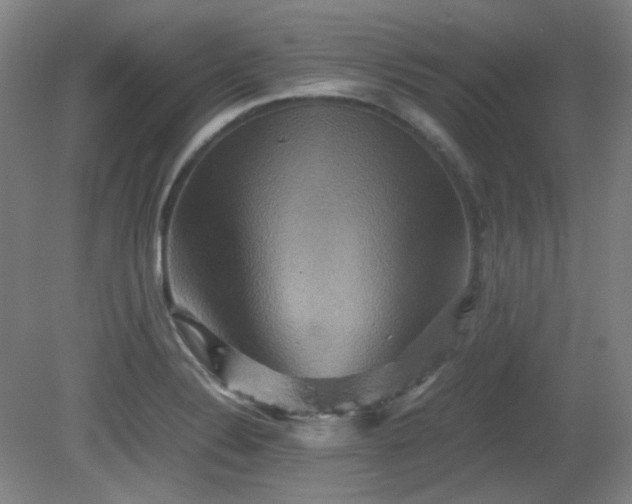 X0000080661324200612151121
