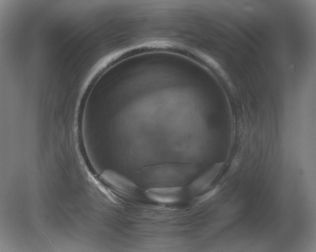 X0000080661327200612151121
