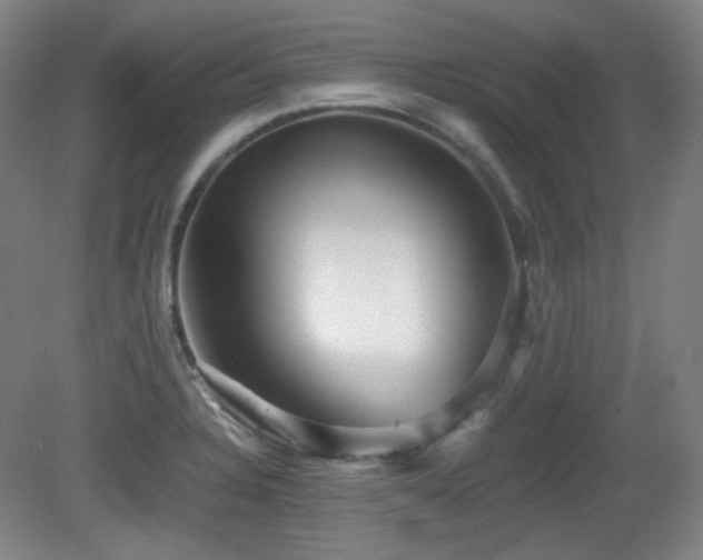 X0000080661328200612151121