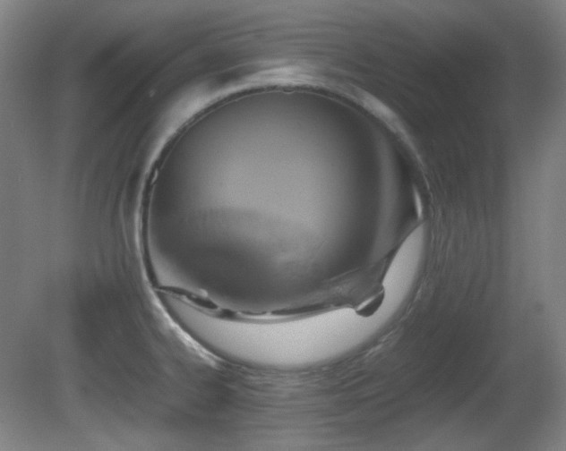 X0000080661334200612151121