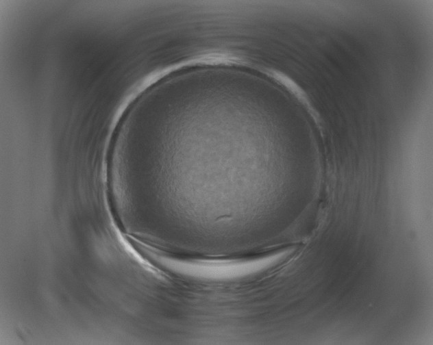 X0000080661335200612151121