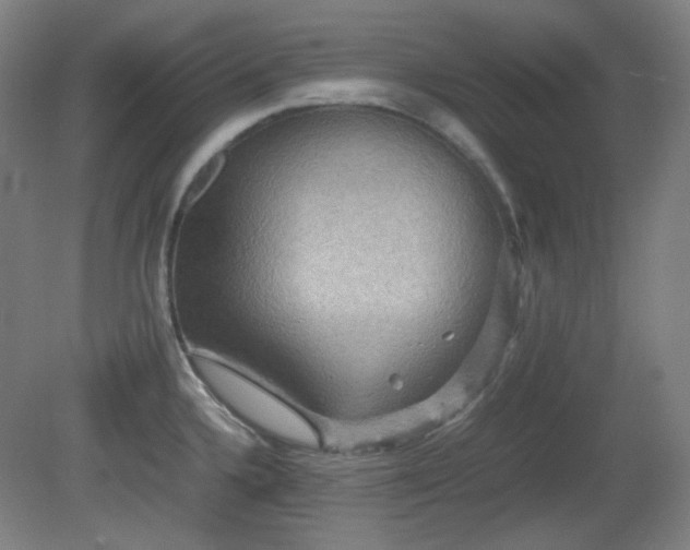 X0000080661336200612151121