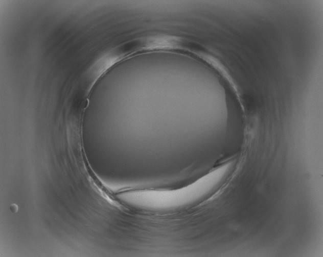 X0000080661337200612151121