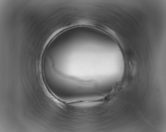 X0000080661339200612151121