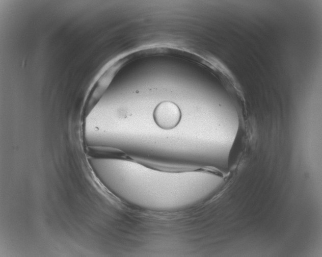 X0000080661340200612151121