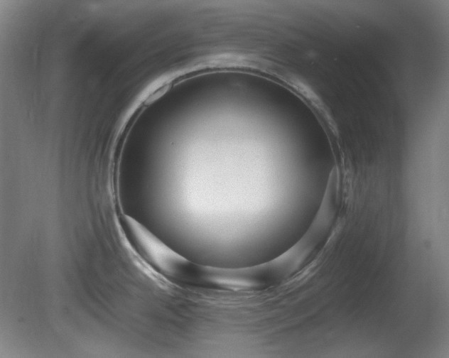 X0000080661342200612151121