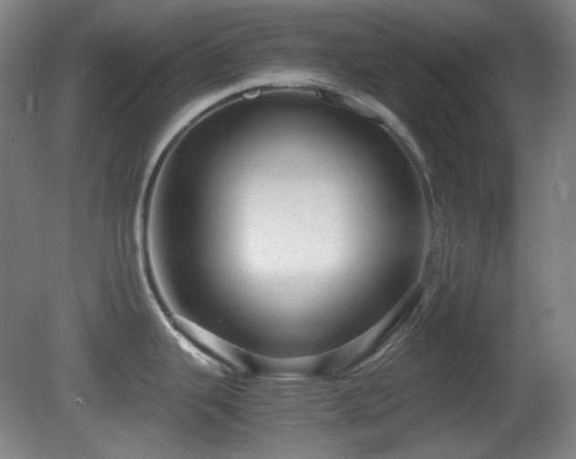 X0000080661343200612151121