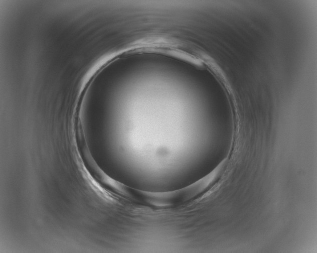 X0000080661344200612151121