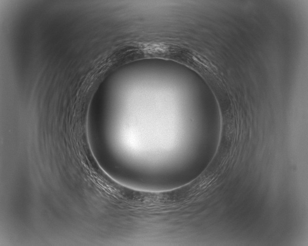 X0000080661345200612151120