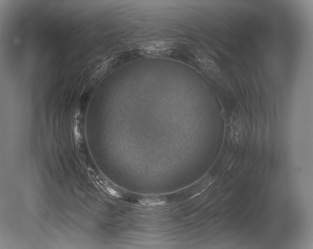 X0000080661346200612151120
