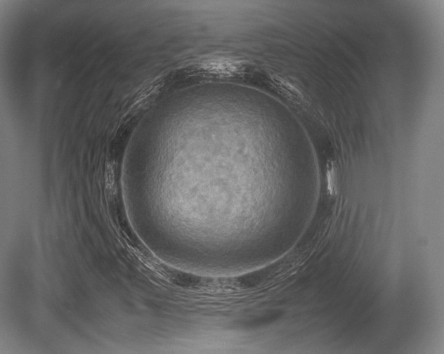 X0000080661347200612151120