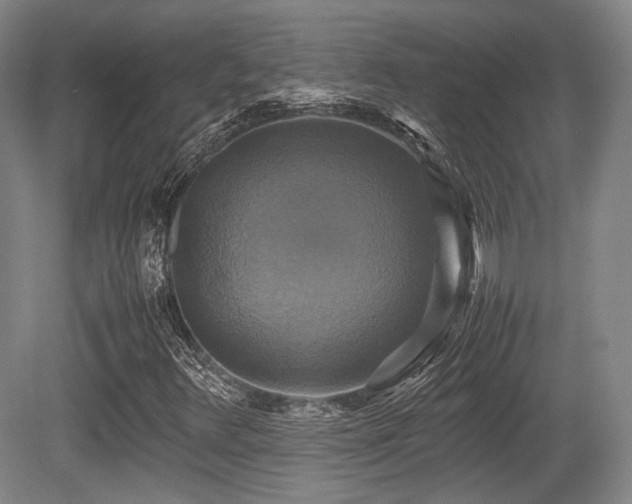 X0000080661348200612151120