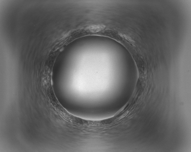 X0000080661349200612151120