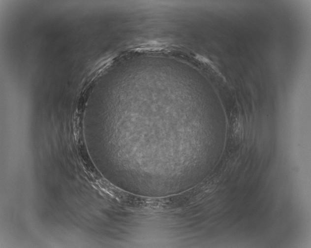 X0000080661350200612151120