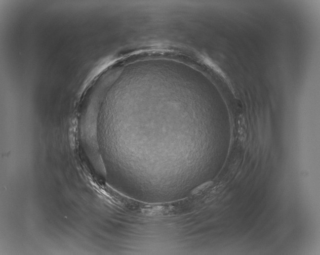 X0000080661352200612151120