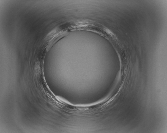 X0000080661353200612151120