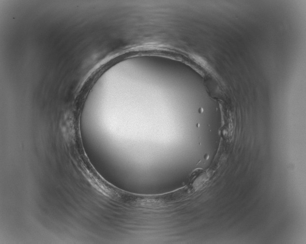 X0000080661356200612151120