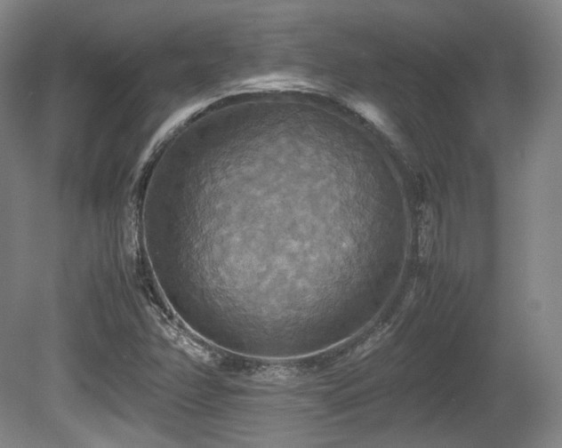 X0000080661358200612151120