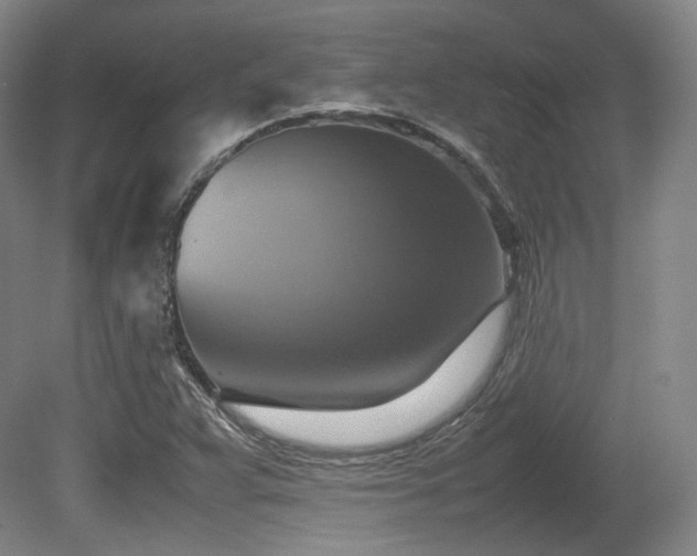 X0000080661359200612151120