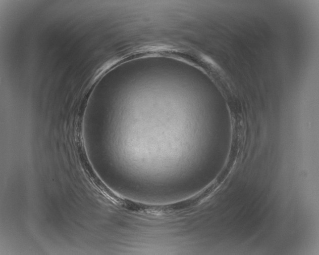 X0000080661361200612151120