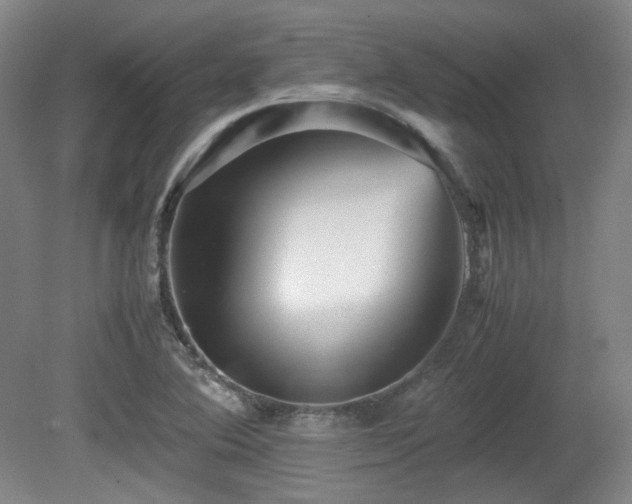 X0000080661364200612151120
