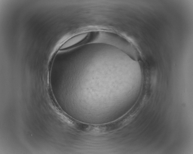 X0000080661365200612151120