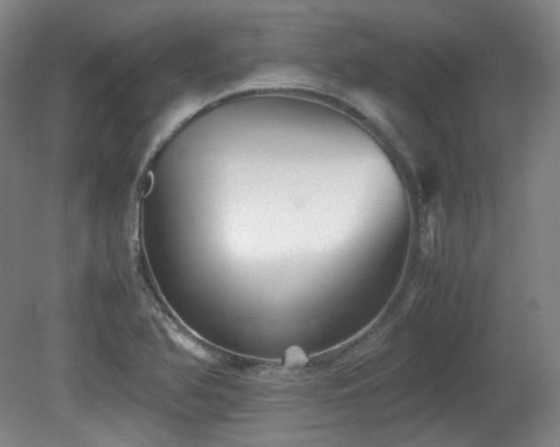 X0000080661366200612151120