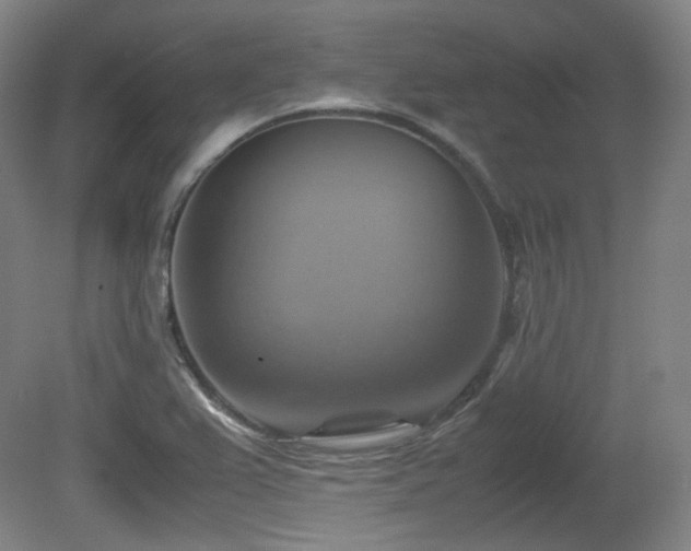 X0000080661367200612151120