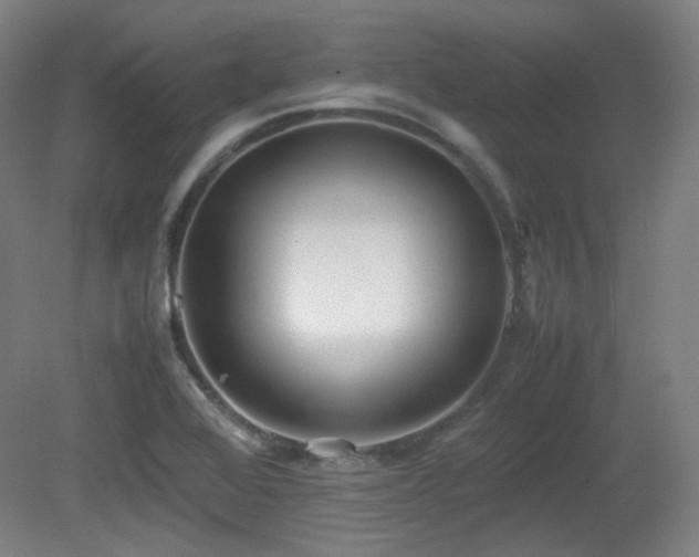 X0000080661368200612151120