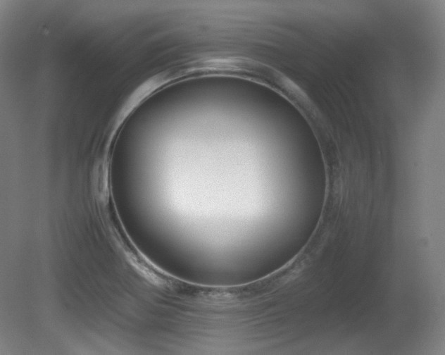 X0000080661370200612151120