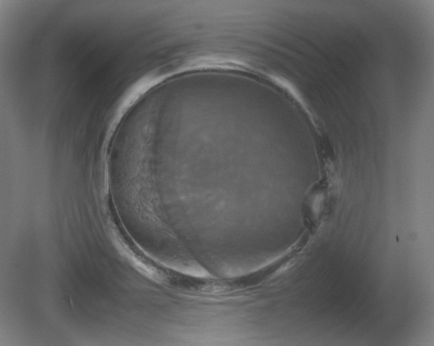 X0000080661371200612151120