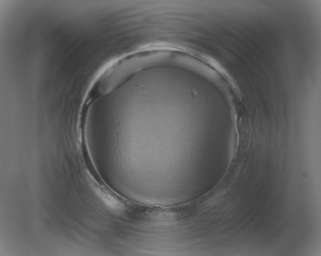 X0000080661372200612151120