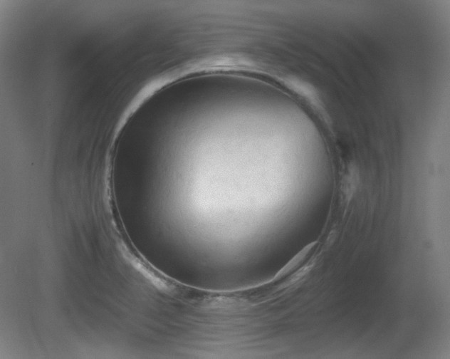 X0000080661374200612151120