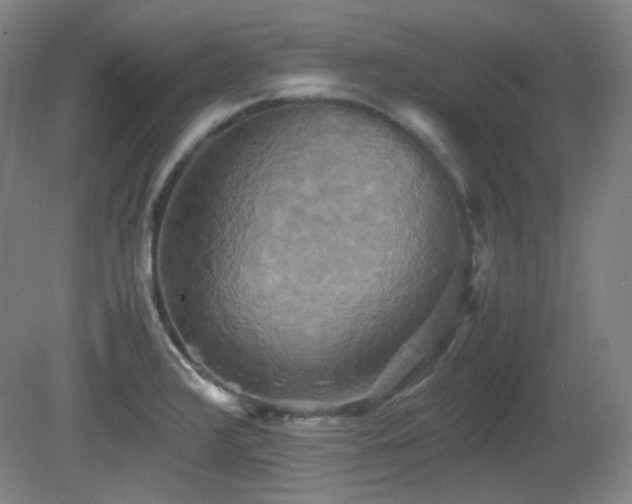 X0000080661376200612151120