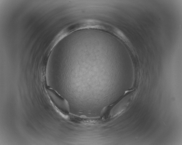 X0000080661377200612151120