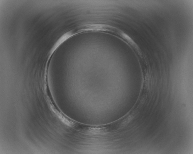 X0000080661378200612151120