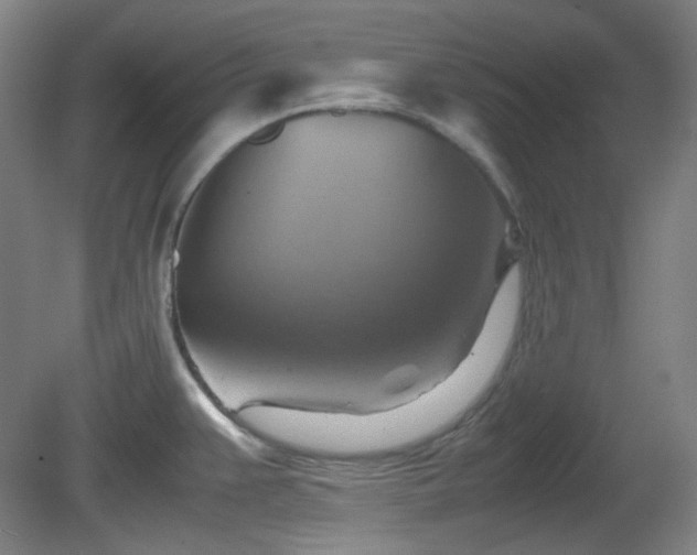 X0000080661383200612151120