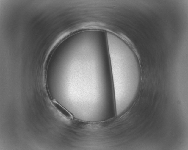 X0000080661384200612151120