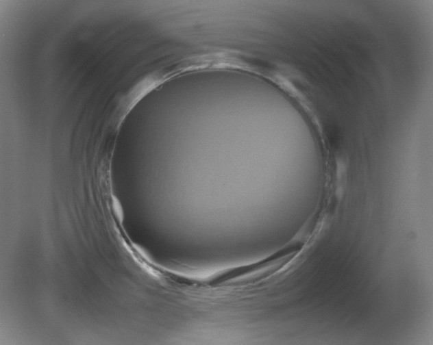X0000080661385200612151120