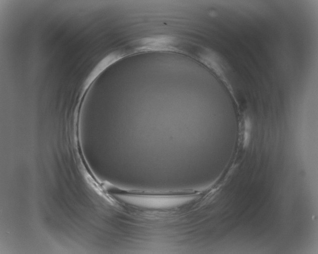 X0000080661386200612151120